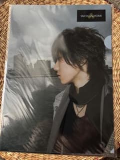 早乙女太一 クリアファイル　新品未使用のサムネイル