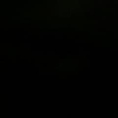 ふわりんさん専用ドミグラのサムネイル