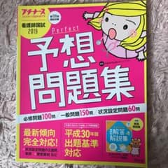 看護師国試2019パーフェクト予想問題のサムネイル