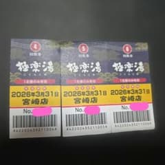 極楽湯 宮崎店 回数券3枚 【１枚当たり300円】のサムネイル