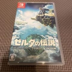 젤다의 전설 티어즈 오브 더 킹덤 switch 소프트