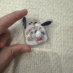 サンリオパッケージチャームのサムネイル