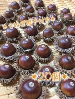 値下げしました✴︎599円→490円くぬぎ帽子付き、20個のサムネイル