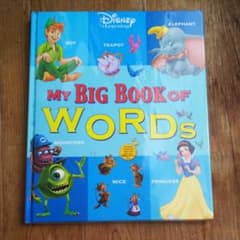 【値下げ】MY BIG BOOK OF WORDSのサムネイル