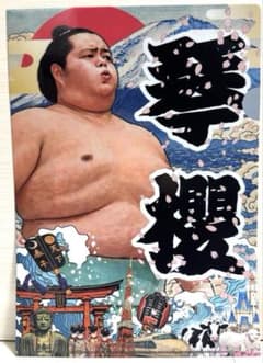 【本日発送】大相撲EXPO 限定クリアファイル 琴櫻関のサムネイル