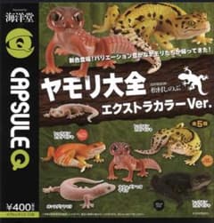 ヤモリ大全 まとめ売りのサムネイル