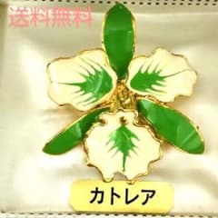 ブローチ　白×緑　MUGEN　卒業式　入学式　フォーマル　世界蘭展　東京ドームのサムネイル