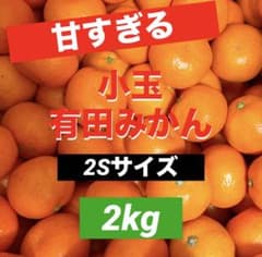 909)数量限定 甘すぎる 有田みかん 果物 みかん 小玉 旬 - メルカリ