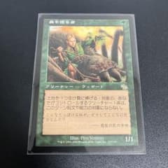 mtg Foil】《森を護る者/Sylvan Safekeeper 日本語 jp 森を護る者/Sylvan Safekeeper》[JUD] 緑R - メルカリ