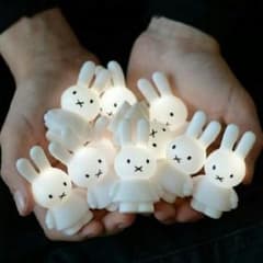 [限定品/日本未発売]ミッフィーledフェアリーライトのサムネイル
