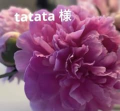 tatata 様 ご確認用でございます - メルカリ tatata 様ご確認用でございます
