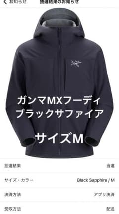 アークテリクス　ガンマMXフーディーのサムネイル