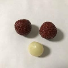 ライチ 食品サンプル フェイクフルーツ フェイクフードのサムネイル