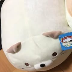 ごろねこサミット 猫のサムネイル