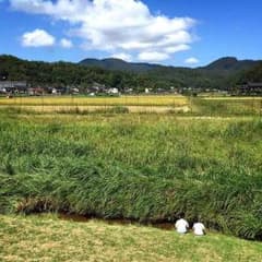 yuyu様専用のサムネイル