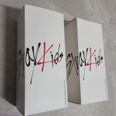 Stray Kids 公式ペンライト 2個セットのサムネイル