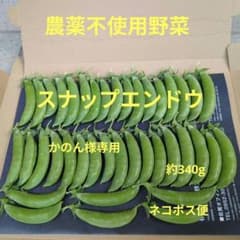 무농약 야채 스냅 완두 약 340g 고양이 포스 편