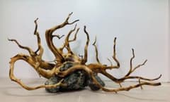 水槽用流木レイアウト　　爬虫類ゲージ。水槽。流木　。水生植物。流木 アクアリウム m55383594615_1.jpg?1744028963
