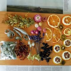 訳ありドライフラワー花材　23　ボタニカルキャンドル商品説明必読❗ドライフルーツのサムネイル