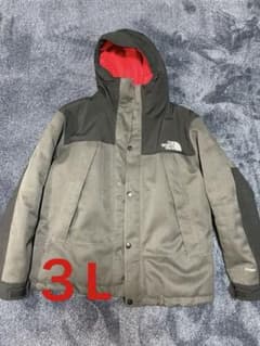 North Face ダウンのサムネイル
