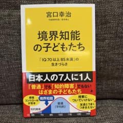 境界知能の子どもたち : 「IQ70以上85未満」の生きづらさのサムネイル