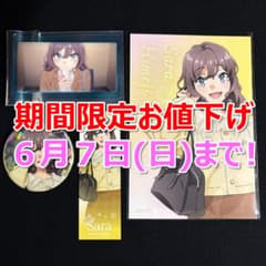 [기간 한정 가격 인하] 블루 돼지 히메지 사라 봄의 외출 상품 4 점 세트