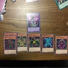 エンジョイ桃太郎様専用のサムネイル