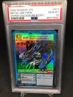 m55404294872_1.jpg?1785330116