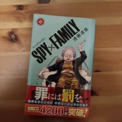 SPY×FAMILY 17