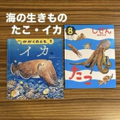 海の生物 たこ イカ かがくのとも 福音館書店 キンダーブック しぜん