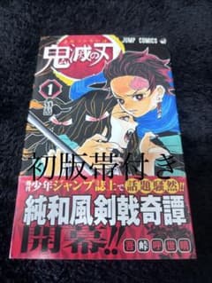 鬼滅の刃 初版 帯付き 全巻 吾峠呼世晴 希少 - メルカリ