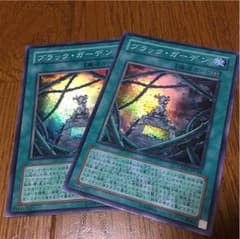 ブラックガーデンのサムネイル