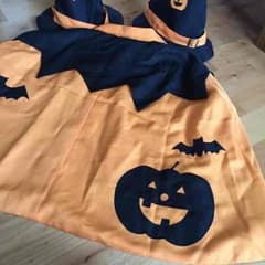 珍ディズニーランド    美品☆マントと帽子のサムネイル