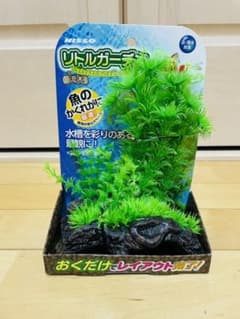 金魚水草　流木のサムネイル