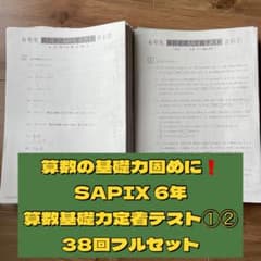 m55418911427_1.jpg?1727567909