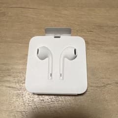 Apple EarPods with Lightning Connector