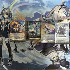 早い者勝ち］ヴァンガード せるがおんなどまとめ売り デッキ付き