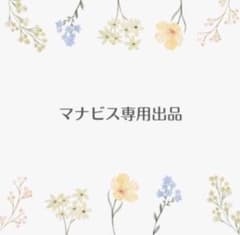 乙女幸くん＊§＊専用　マナビス化粧品 乙女幸くん＊§＊専用 マナビス化粧品