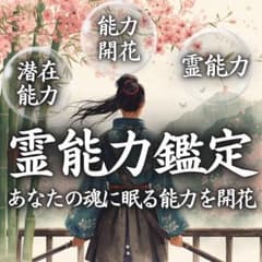 대면감정 2만엔 상당 영능력·영시·운기·제6감·재능·각성·잠재능력·점