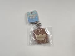 m55423584853_1.jpg?1766023655