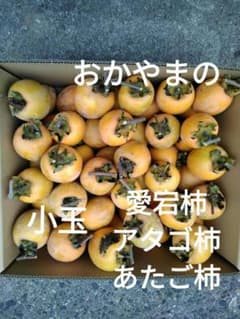 愛宕柿 あたご柿 渋柿 干し柿用 小玉 50〜70個のサムネイル