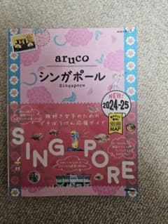 aruco シンガポール 2024-25のサムネイル