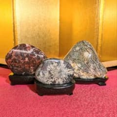 石　菊花石　M１４５８ ◇天然石！岐阜県産／貴重！瑪瑙質菊花石－台座付きNo,75◇ - 鑑賞石の