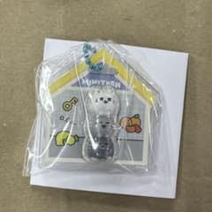 MINITEEN パッケージチャーム＆グミ ジュンのサムネイル