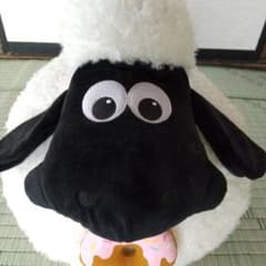 양의 숀