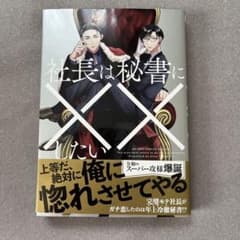 社長は秘書に××したいのサムネイル