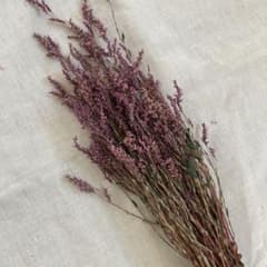 藍の花　ドライフラワーのサムネイル