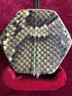 処分・二胡☆新中古・半額☆錦蛇皮☆必需品揃い☆初心者向け - メルカリ