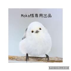花苗】PW正規品 ラグランジア シャンデリーニ タグ付き 蕾付き 鉢ごと