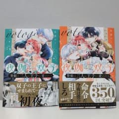 夜伽の双子-贄姫は二人の王子に愛される-3 4のサムネイル